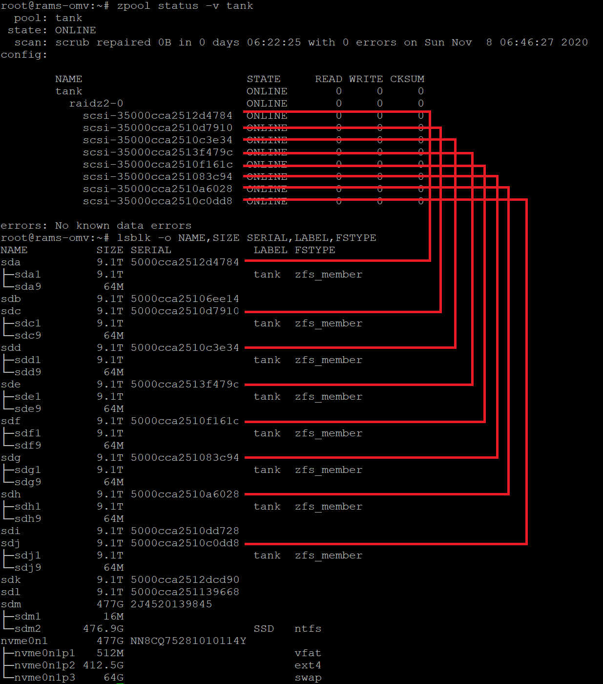 Identify ZFS Disks Using /dev/disk/by-id/